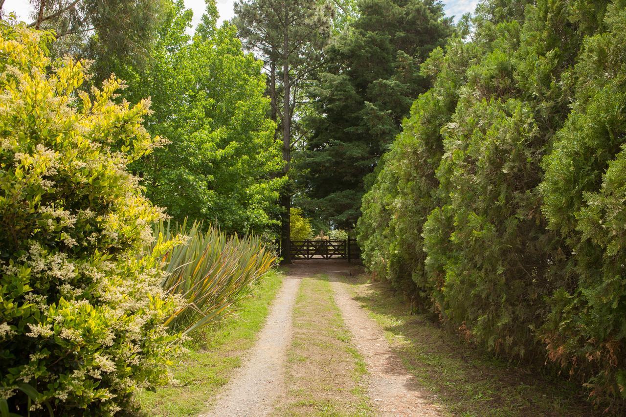 La Chacra - Hotel De Campo & Spa San Pedro  Extérieur photo